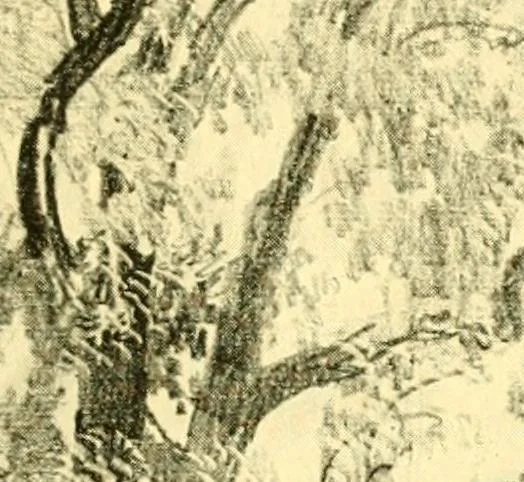 An illustration from Our Philadelphia, 1914, leaf 48