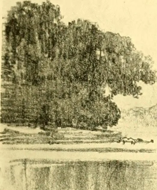 An illustration from Our Philadelphia, 1914, leaf 484