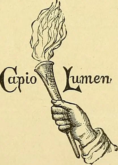 An illustration from Our temperaments : their study and their teaching : a popular outline, 1887, leaf 8