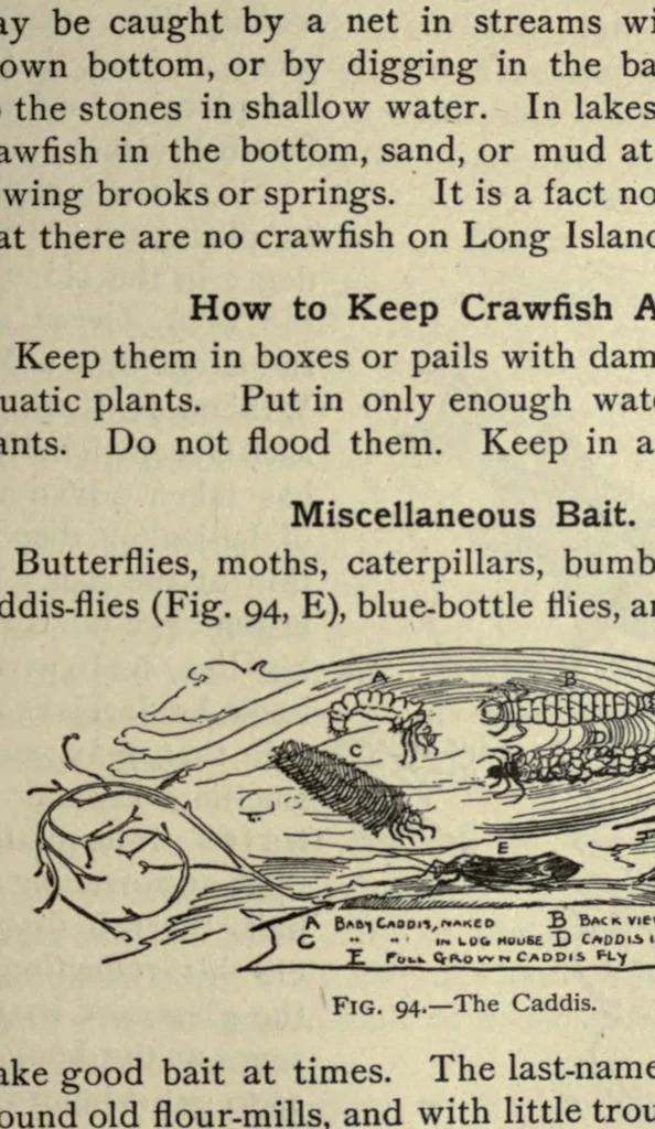 An illustration from The outdoor handy book, 1914, leaf 159