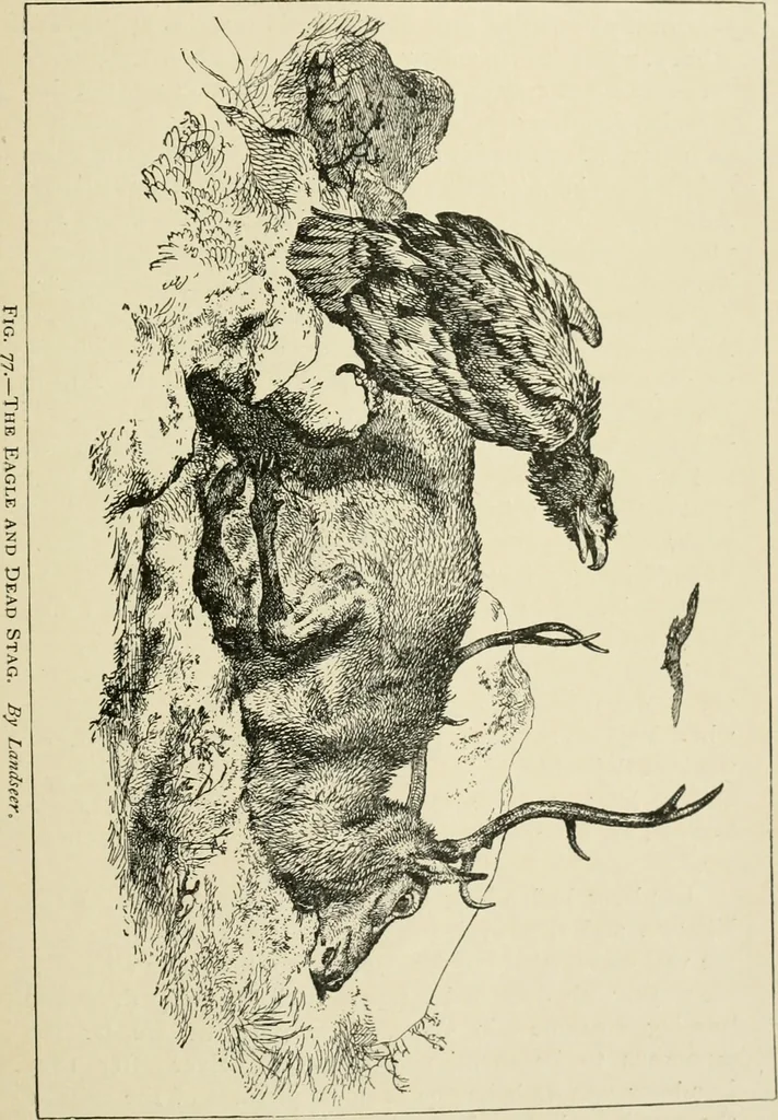 An illustration from An outline history of painting for young people and students, 1883, leaf 312
