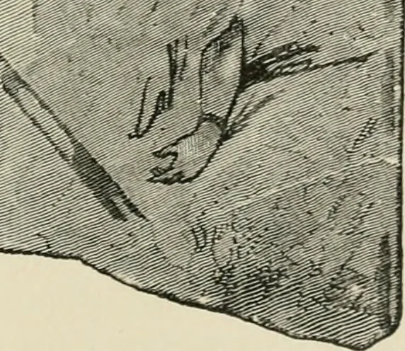 An illustration from An outline history of painting for young people and students, 1883, leaf 52