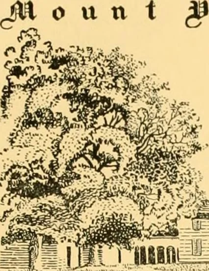 An illustration from An outline of the life and works of Col. Paul Revere; with a partial catalogue of silverware bearing his name, 1901, leaf 128