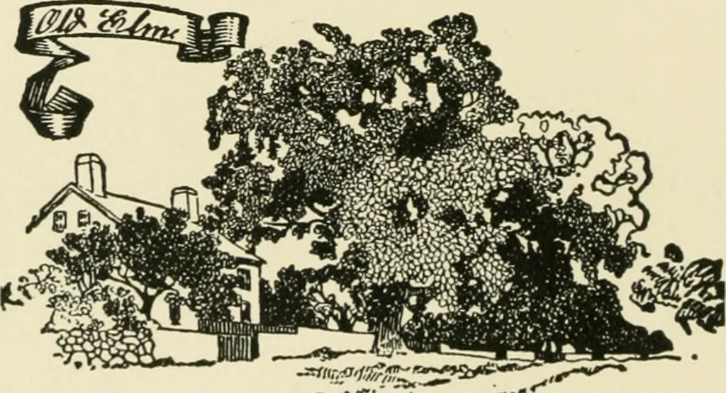 An illustration from An outline of the life and works of Col. Paul Revere; with a partial catalogue of silverware bearing his name, 1901, leaf 45