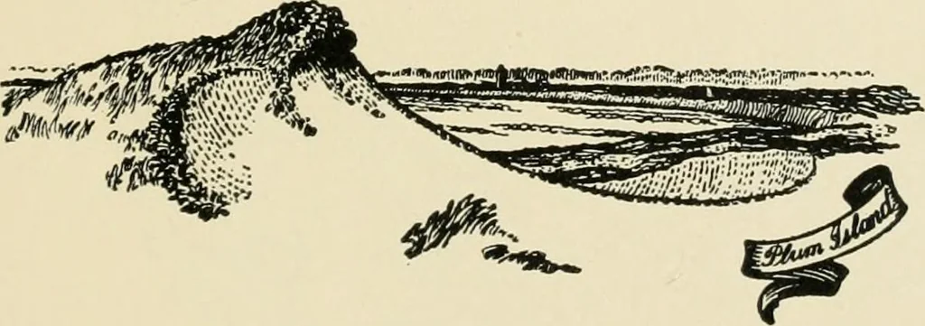An illustration from An outline of the life and works of Col. Paul Revere; with a partial catalogue of silverware bearing his name, 1901, leaf 48