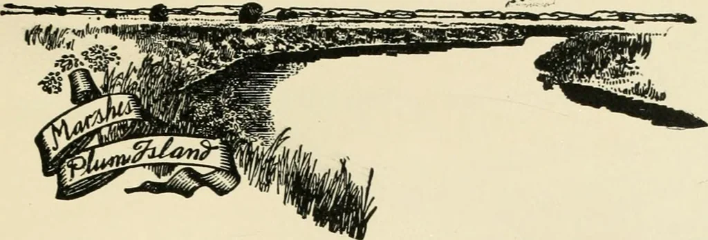 An illustration from An outline of the life and works of Col. Paul Revere; with a partial catalogue of silverware bearing his name, 1901, leaf 74