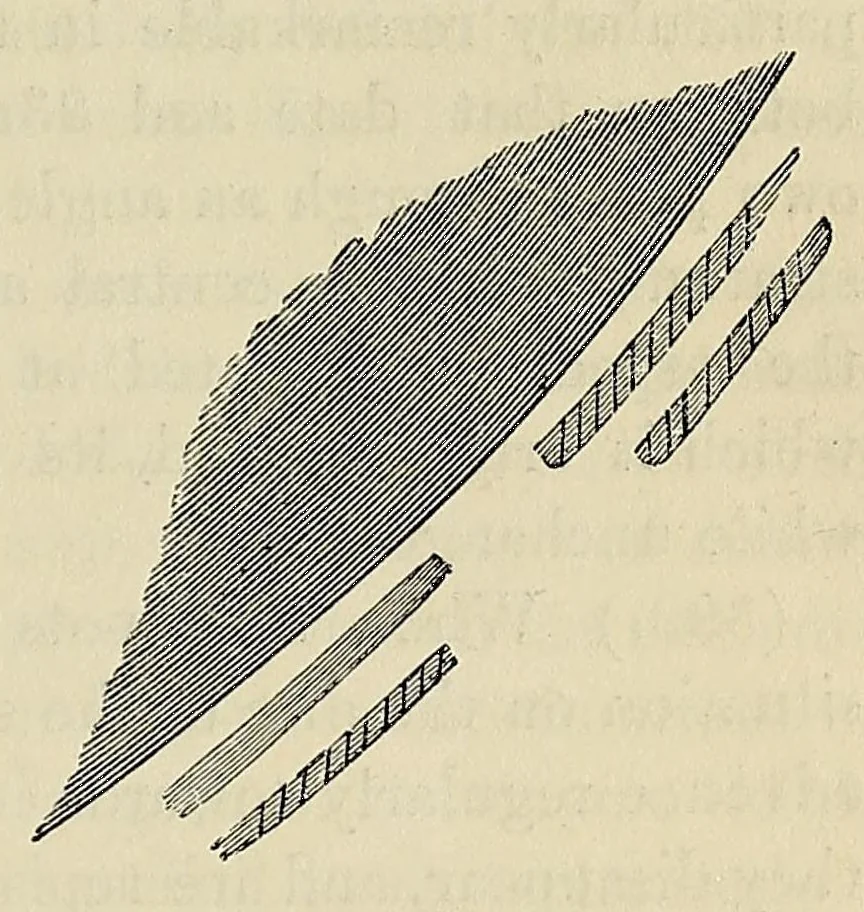 An illustration from Outlines of astronomy, 1858, leaf 283