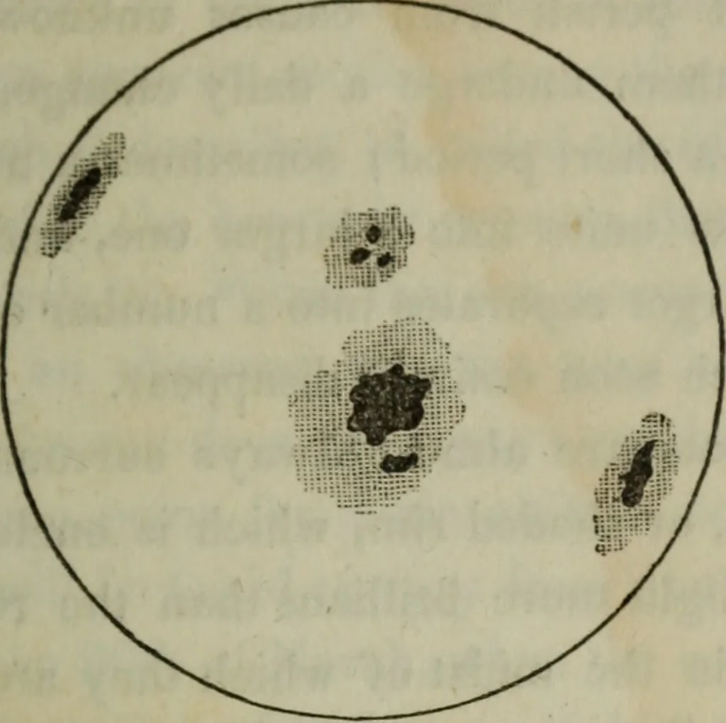 An illustration from Outlines of astronomy, 1850, leaf 40