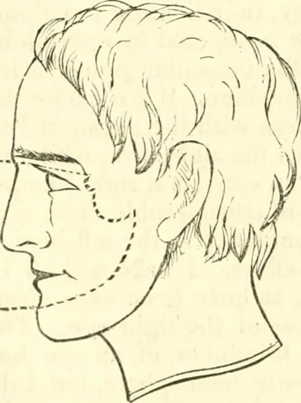 An illustration from Outlines of lectures on the neurological system of anthropology, as discovered, demonstrated and taught in 1841 and 1842, 1854, leaf 101