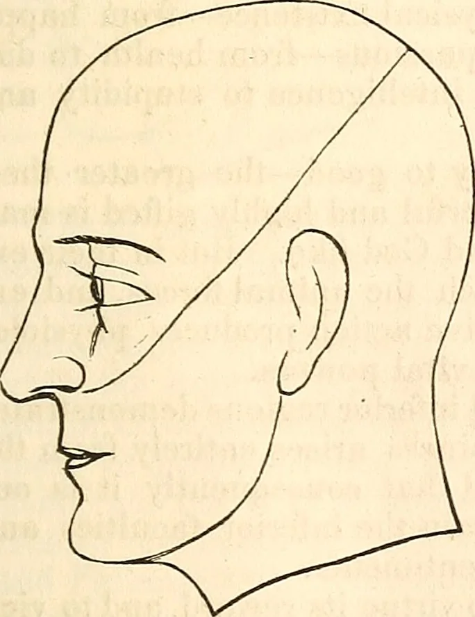 An illustration from Outlines of lectures on the neurological system of anthropology, as discovered, demonstrated and taught in 1841 and 1842, 1854, leaf 112