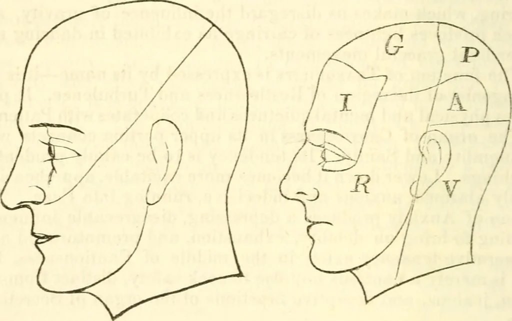 An illustration from Outlines of lectures on the neurological system of anthropology, as discovered, demonstrated and taught in 1841 and 1842, 1854, leaf 183