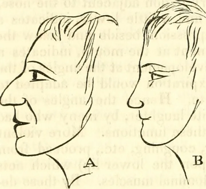 An illustration from Outlines of lectures on the neurological system of anthropology, as discovered, demonstrated and taught in 1841 and 1842, 1854, leaf 253