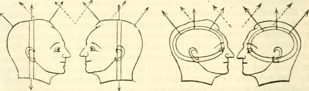 An illustration from Outlines of lectures on the neurological system of anthropology, as discovered, demonstrated and taught in 1841 and 1842, 1854, leaf 343