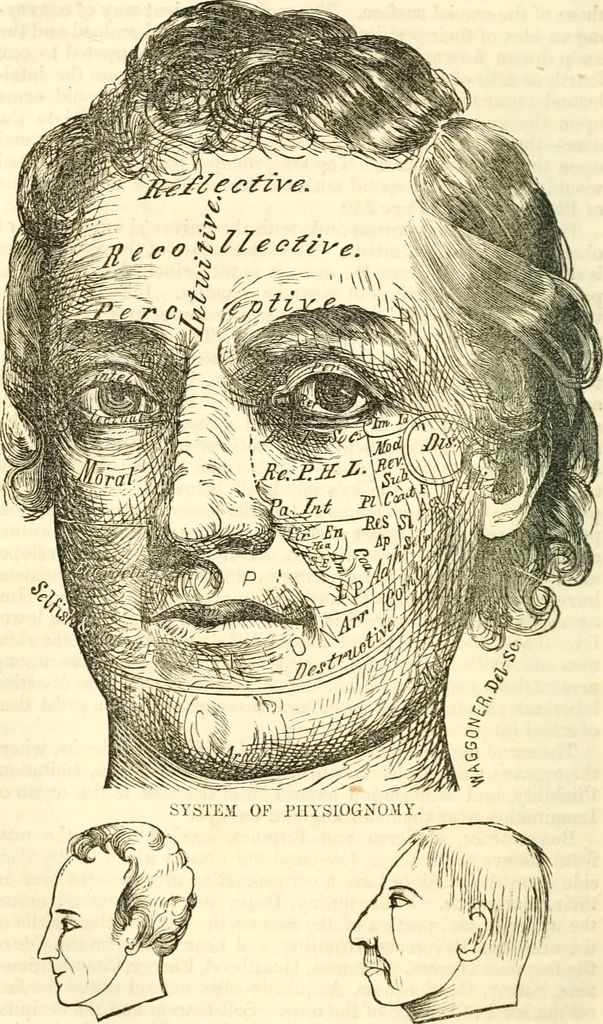 An illustration from Outlines of lectures on the neurological system of anthropology, as discovered, demonstrated and taught in 1841 and 1842, 1854, leaf 373