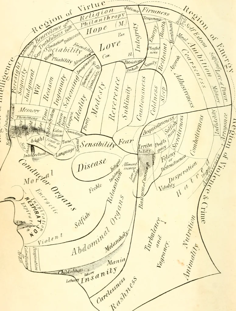 An illustration from Outlines of lectures on the neurological system of anthropology, as discovered, demonstrated and taught in 1841 and 1842, 1854, leaf 5