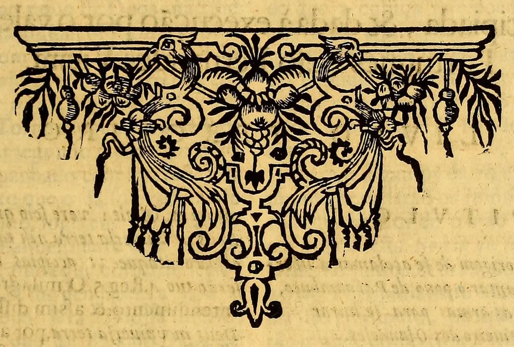 An illustration from O valeroso Lucideno. E triumpho da liberdade. : Primeira parte., 1648, leaf 157