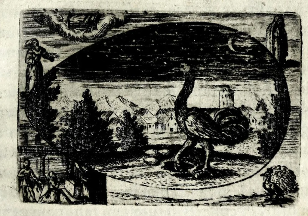 An illustration from Ova Paschalia sacro emblemate inscripta descriptaq[ue], 1635, leaf 243