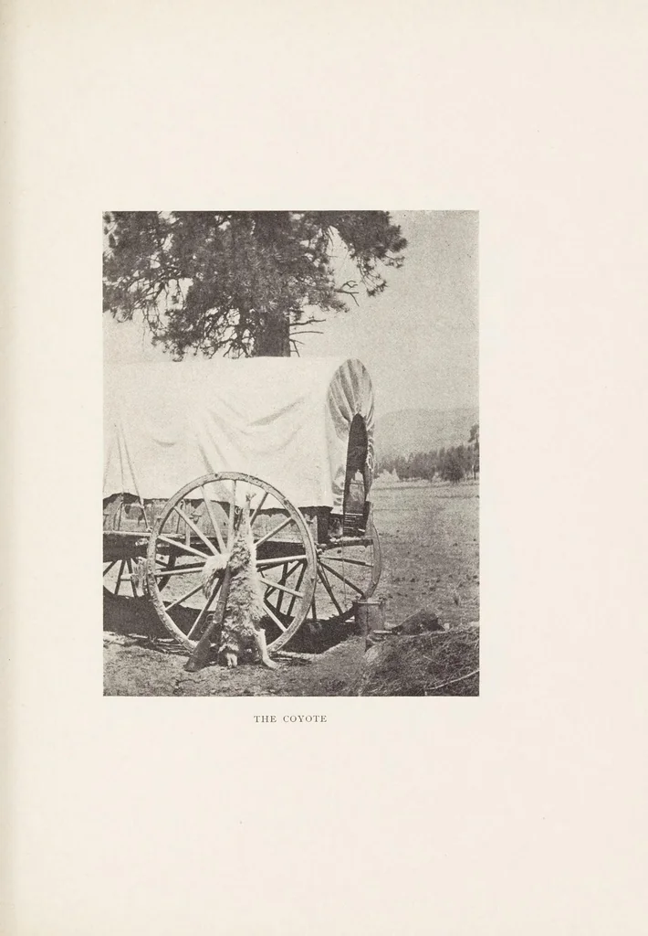 An illustration from Over the great Navajo Trail, 1900, leaf 231