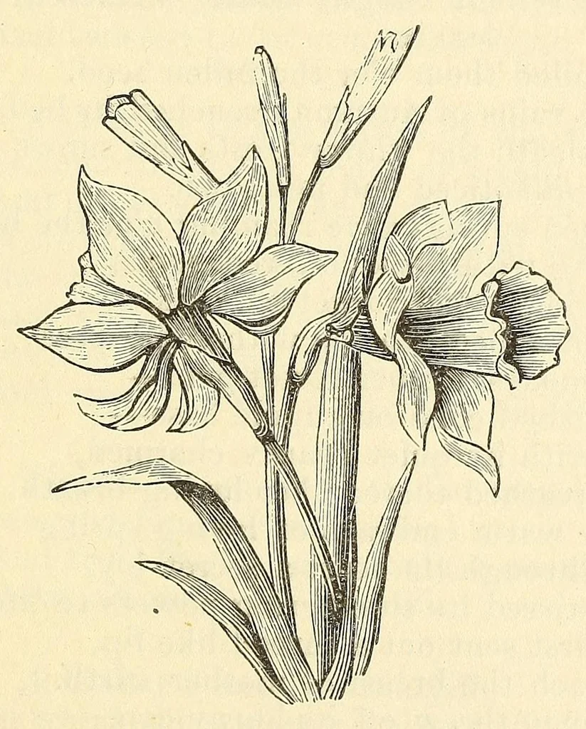 An illustration from The overthrow of American slavery, containing descriptions of important events and sketches of some of the prominent actors, 1885, leaf 199