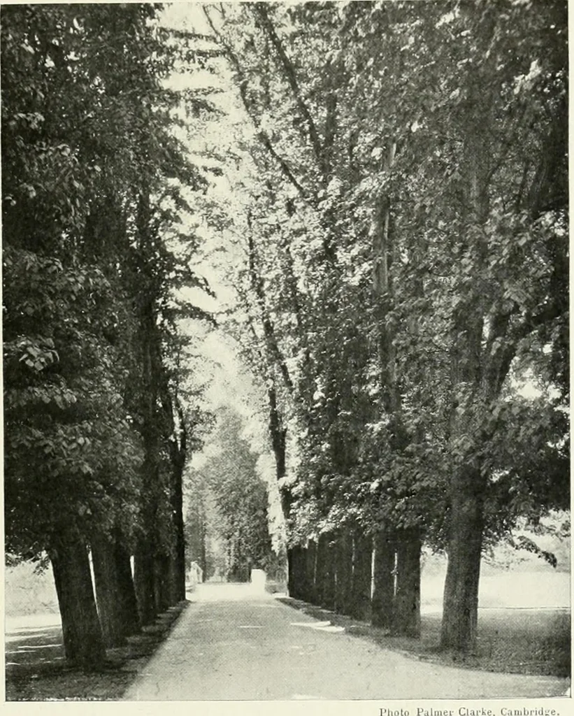 An illustration from Oxford & Cambridge, 1909, leaf 130