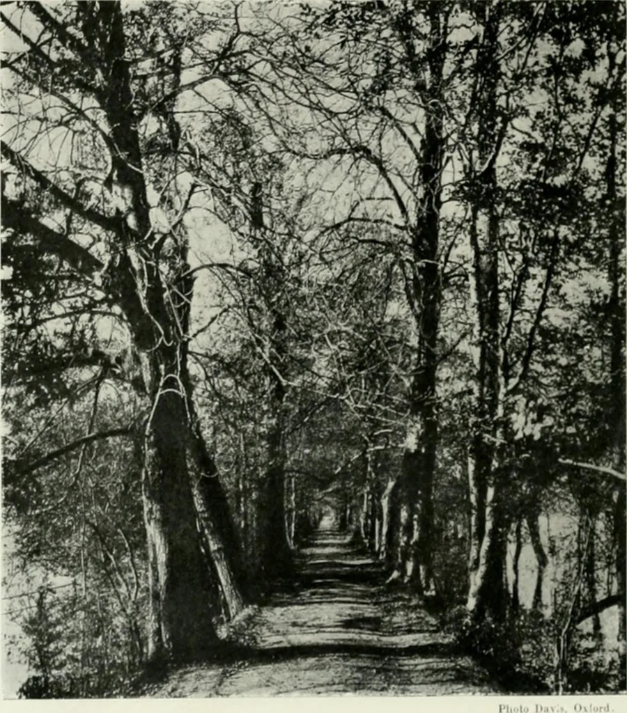 An illustration from Oxford & Cambridge, 1909, leaf 45