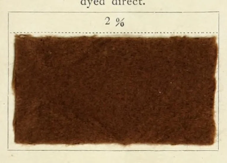 An illustration from Oxy diamine brown G., 1900, leaf 9