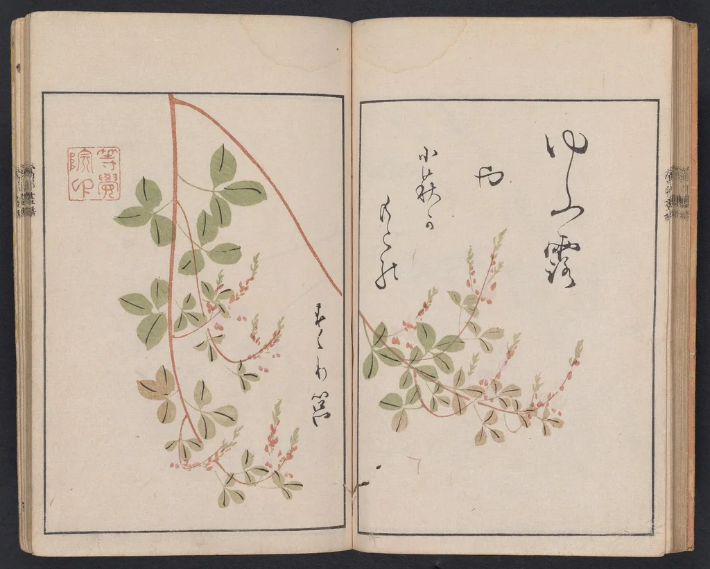 An illustration from Ōson gafu, 1817, leaf 20