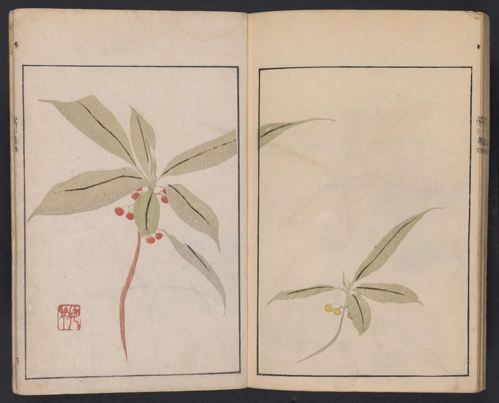 An illustration from Ōson gafu, 1817, leaf 30