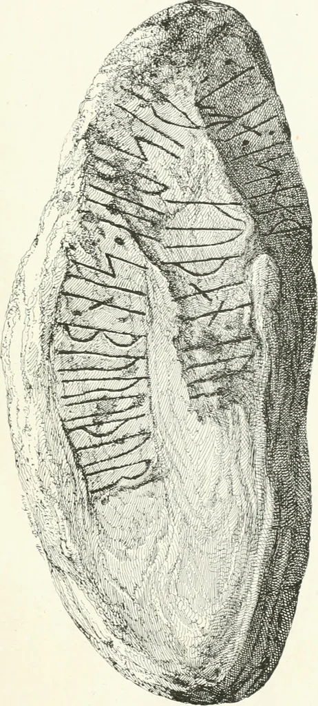 An illustration from De danske runemindesmaerker, forklarede, 1864, leaf 124