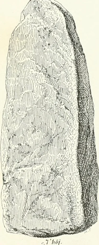 An illustration from De danske runemindesmaerker, forklarede, 1864, leaf 50