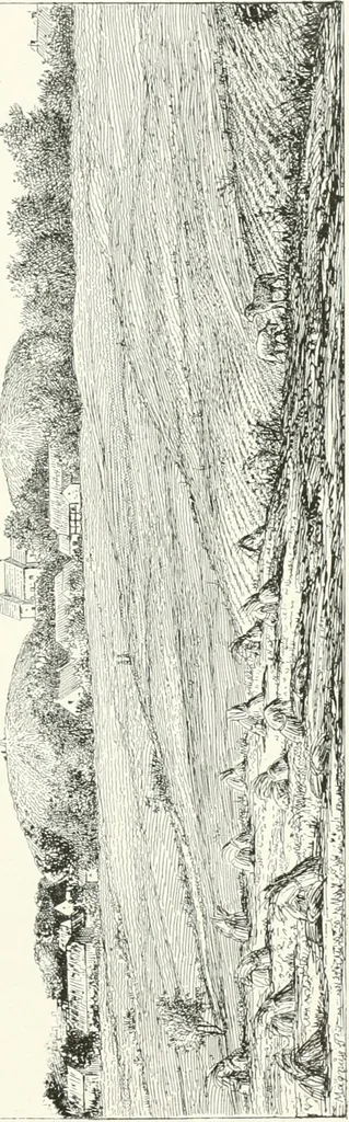 An illustration from De danske runemindesmaerker, forklarede, 1864, leaf 52