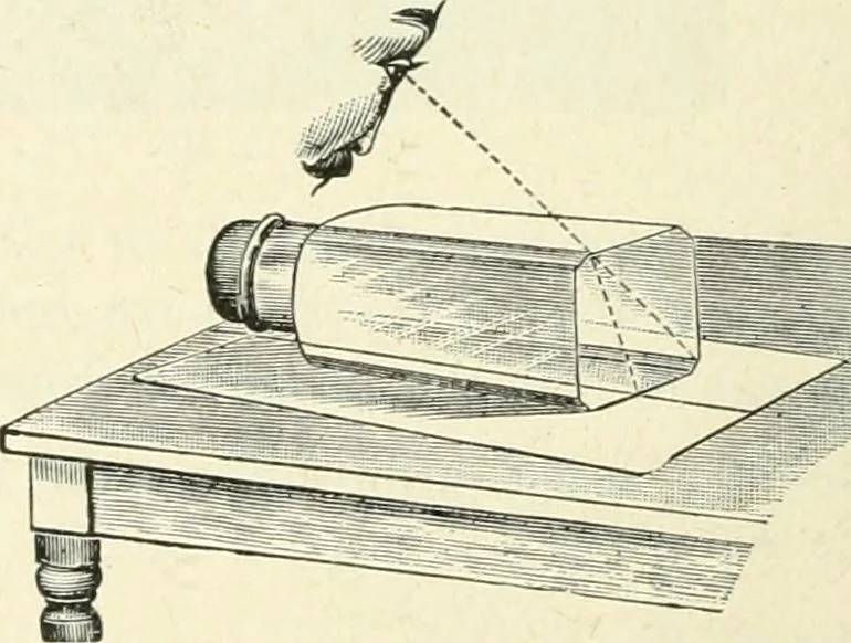 An illustration from High school physical science, 1905, leaf 277