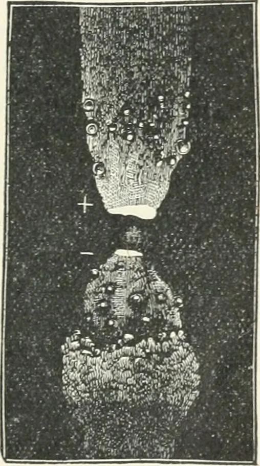 An illustration from High school physical science, 1905, leaf 330