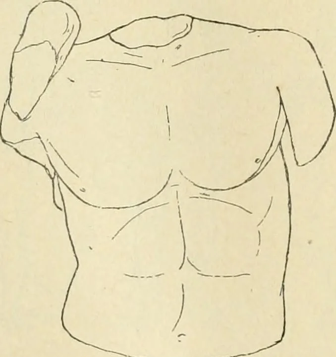 An illustration from Répertoire de la statuaire grecque et romaine, 1908, leaf 269