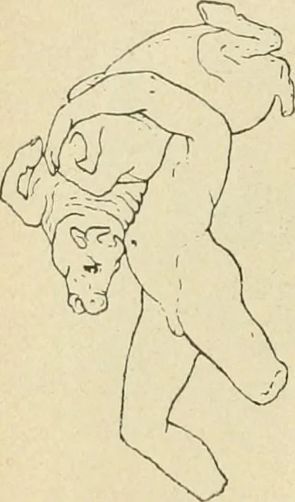 An illustration from Répertoire de la statuaire grecque et romaine, 1908, leaf 279
