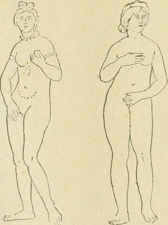 An illustration from Répertoire de la statuaire grecque et romaine, 1908, leaf 393