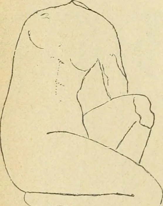 An illustration from Répertoire de la statuaire grecque et romaine, 1908, leaf 413