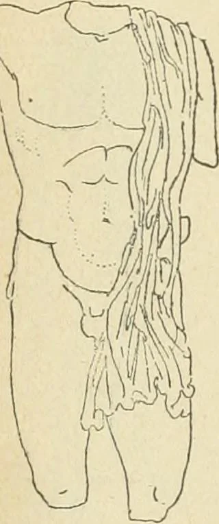An illustration from Répertoire de la statuaire grecque et romaine, 1908, leaf 73