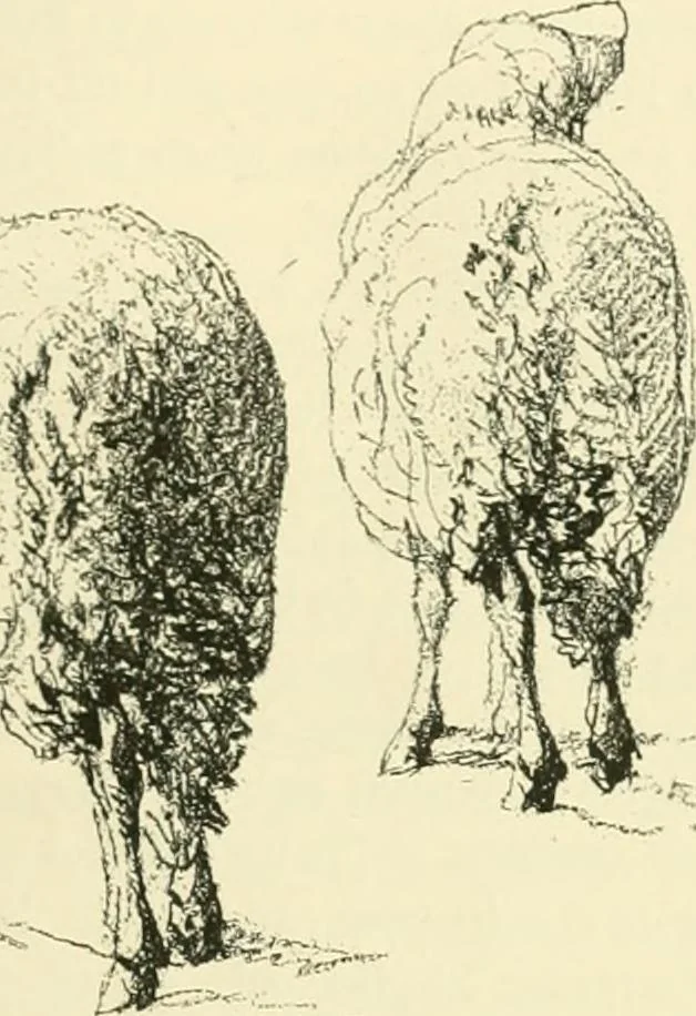 An illustration from Gazette des beaux-arts, 1859, leaf 286