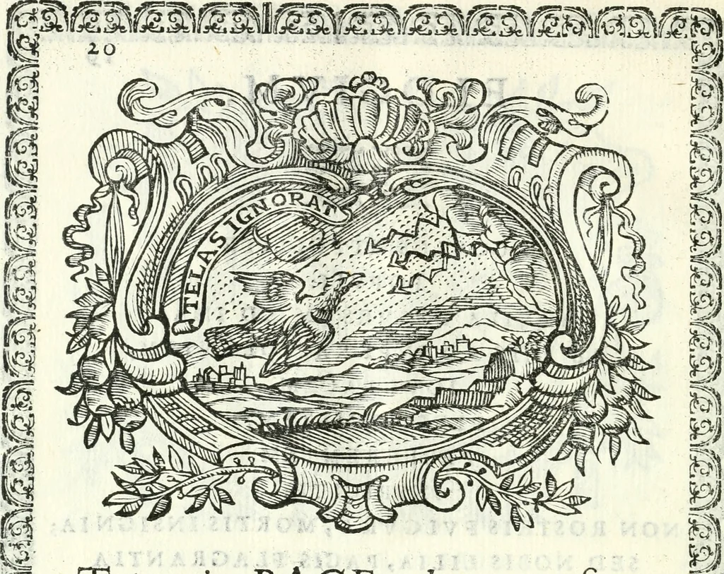 An illustration from Pacis aqvilam inter et lilia initae elogia, 1660, leaf 31