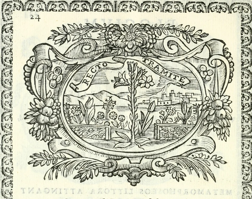 An illustration from Pacis aqvilam inter et lilia initae elogia, 1660, leaf 35