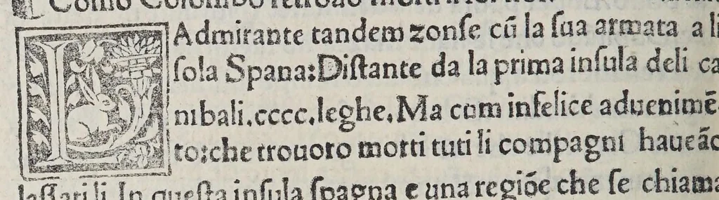 An illustration from Paesi nouamente retrouati. et Nouo Mondo da Alberico Vesputio Florentino intitulato, 1507, leaf 176