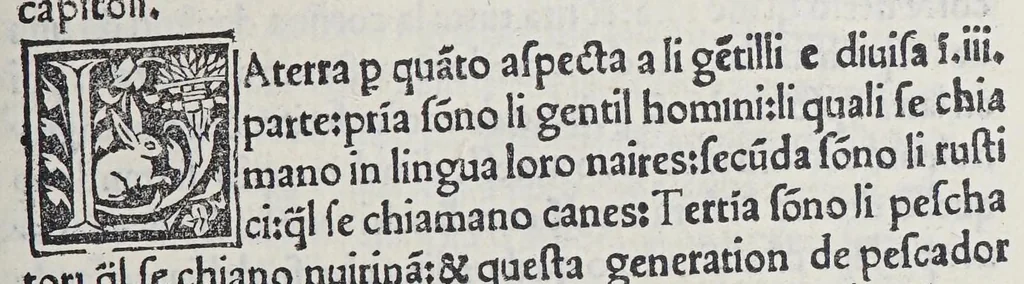 An illustration from Paesi nouamente retrouati. et Nouo Mondo da Alberico Vesputio Florentino intitulato, 1507, leaf 241