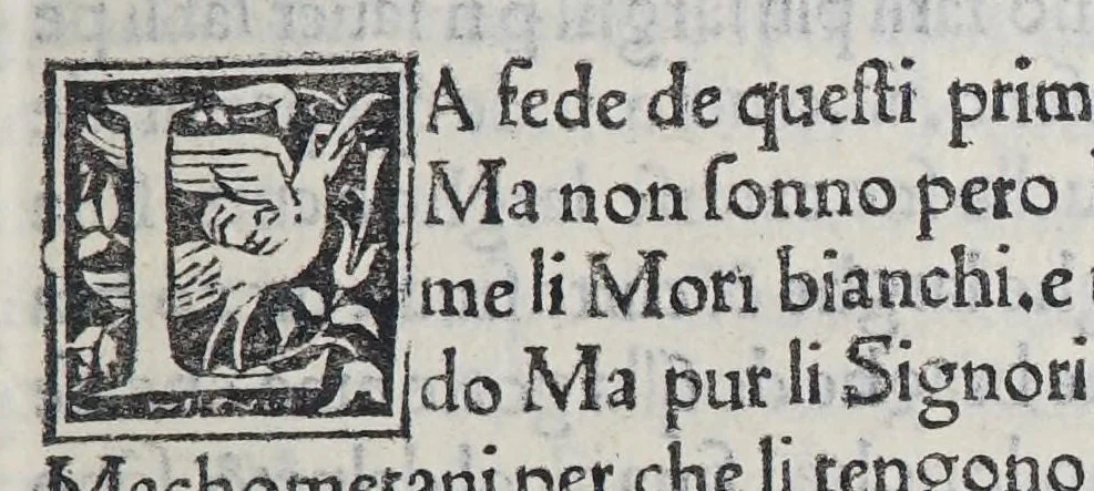 An illustration from Paesi nouamente retrouati. et Nouo Mondo da Alberico Vesputio Florentino intitulato, 1507, leaf 51