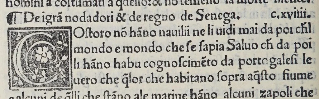 An illustration from Paesi nouamente retrouati. et Nouo Mondo da Alberico Vesputio Florentino intitulato, 1507, leaf 54