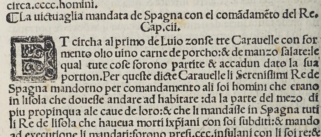An illustration from Paesi nouamente retrouati. & Nouo Mo[n]do da Alberico Vesputio Florentino intitulato, 1508, leaf 128