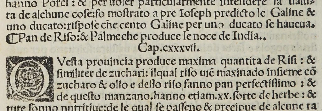 An illustration from Paesi nouamente retrouati. & Nouo Mo[n]do da Alberico Vesputio Florentino intitulato, 1508, leaf 168