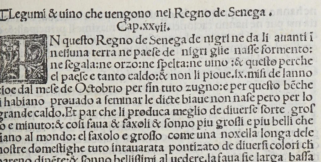 An illustration from Paesi nouamente retrouati. & Nouo Mo[n]do da Alberico Vesputio Florentino intitulato, 1508, leaf 45