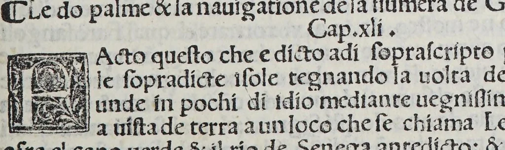 An illustration from Paesi nouamente retrouati. & Nouo Mo[n]do da Alberico Vesputio Florentino intitulato, 1508, leaf 61