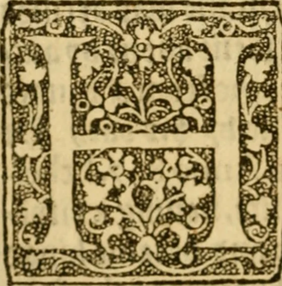 An illustration from The Pageant of popes, contayninge the lyues of all the bishops of Rome, from the beginninge of them to the yeare of grace 1555, deuided into iii. sortes bishops, archbishops, and popes ..., 1574, leaf 155